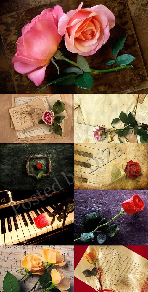 Винтажные композиции с розами