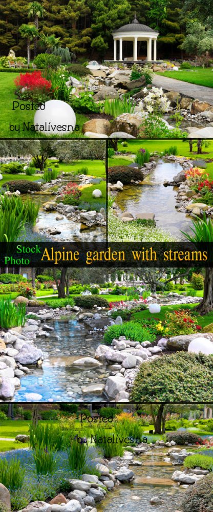 Альпийский сад с ручьем / Alpine garden with stream - Stock photo 