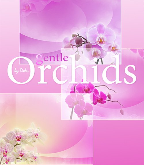 Высококачественные фоны "Нежные орхидеи". Photoshop вackground Gentle orchids