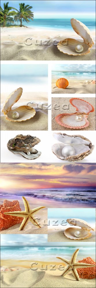 Жемчуг и морская звезда на побережье/ Pearls and starfishes - Stock photo