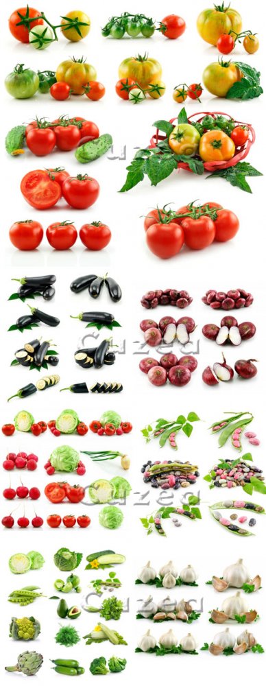 Овощи на белом фоне/ Vegetables on white background - stock photo