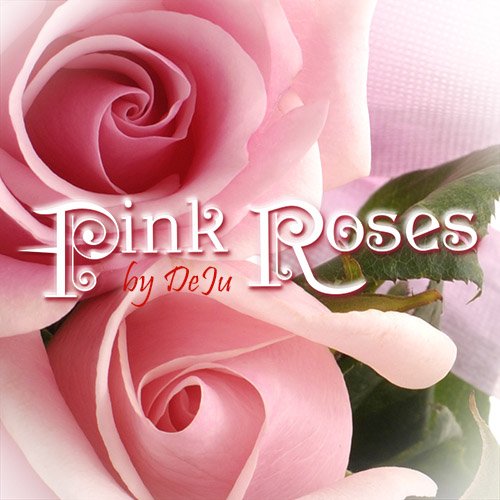 Высококачественный клипарт "Роскошные розовые розы" - PNG сlipart Pink roses
