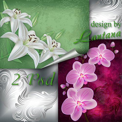 PSD исходники - Нежные лилии, орхидеи, будто сказочные феи
