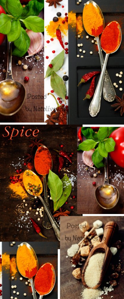 Кулинарные фоны с зеленью и специями / Culinary backgrounds with greens and spices