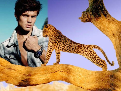  Рамка для фотомонтажа - Дикий леопард в тропиках 