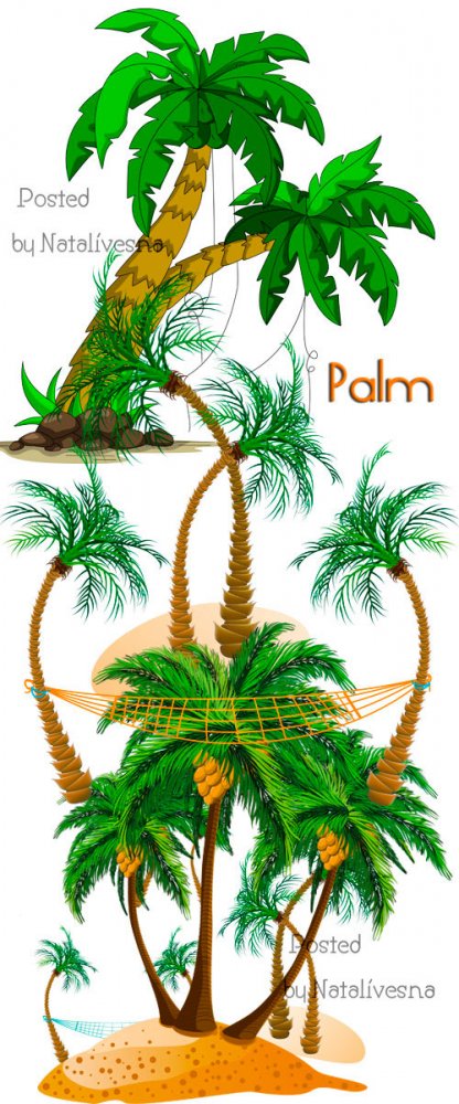 Пальмы на белом фоне в Векторе / Vector - Palm