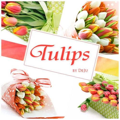 Высококачественный фотосток "Тюльпаны"/ Stock Photo HQ Tulips