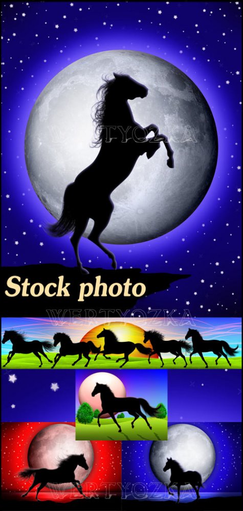 Лошади на фоне луны и ночного неба / Horses on the background of the moon and the sky