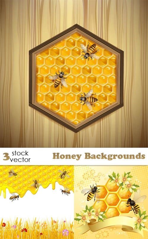 Vectors – Honey Backgrounds