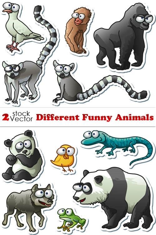 Vectors – Different Funny Animals