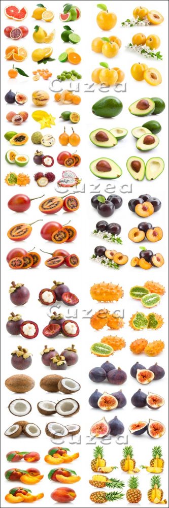 Мега коллекция фруктов / Mega collectoin of fruits -  Stock photo