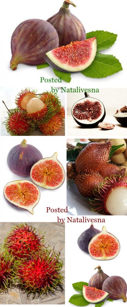 Инжир и Рамбутан / Fig and Rambutan - Stock photo