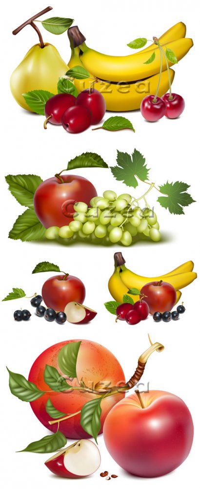Фрукты на белом фоне в векторе / Sweet fruits on white backgrounds in vector
