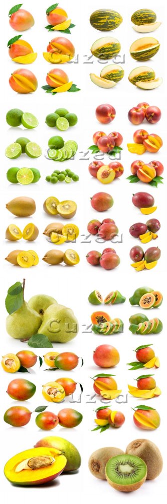 Различные фрукты на белом фоне / Different fruit on white background - stock photo