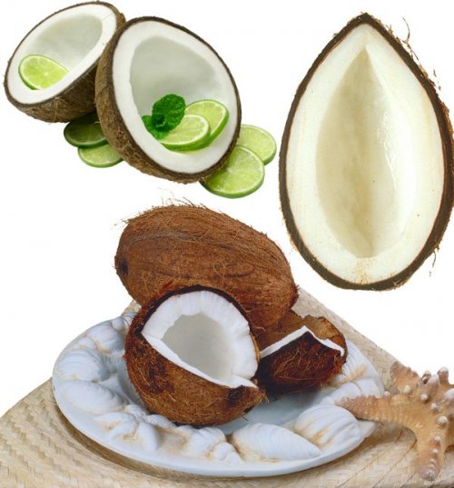 Фотосток: орехи - кокос