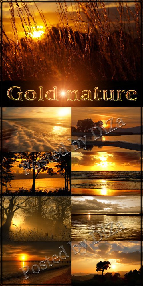 Золотая природа