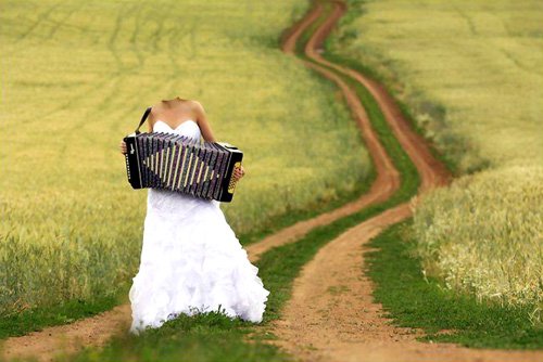  Женский шаблон - Невеста на поле, играя на аккордеоне 