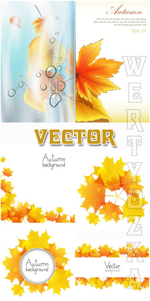 Осень, осенние листья / Autumn, autumn leaves - vector
