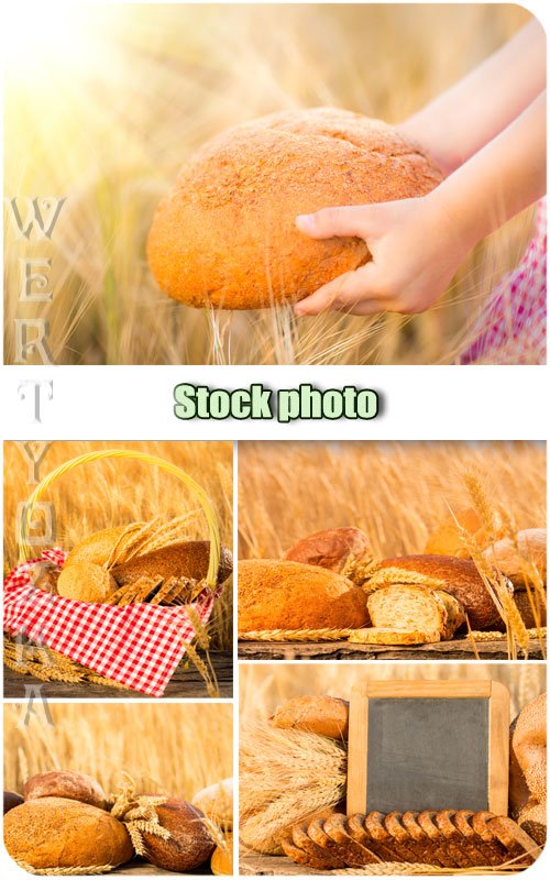 Хлеб, пшеничное поле, колоски / Bread, wheat field, spikelets - Raster clipart