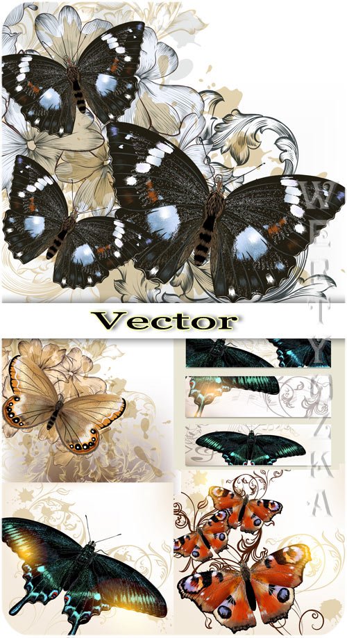 Бабочки и фоны с цветами / Butterflies and backgrounds with flowers - vector clipart