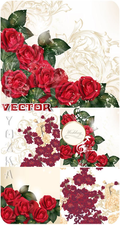 Свадебные фоны с розами и золотыми узорами / Wedding backgrounds with roses and golden ornaments - vector