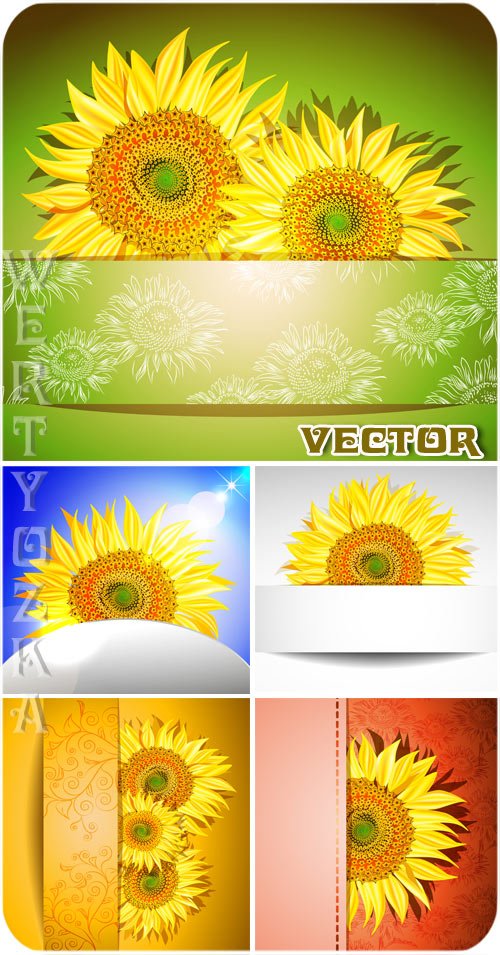 Векторные фоны с яркими подсолнухами  / Sunflowers - vector clipart