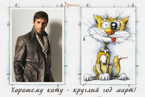 Шуточная рамочка для мужчины - Мартовский кот