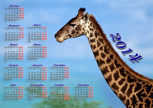  Красивый календарь 2014 года - Длинный жираф 