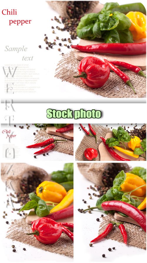 Сладкий и острый перец / Sweet and hot peppers - Raster clipart