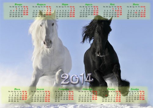  Календарь 2014 - Красивые лошади инь и янь 