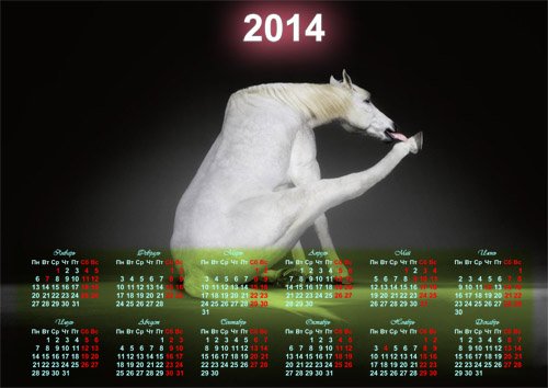  Настенный календарь - Белая веселая лошадь 