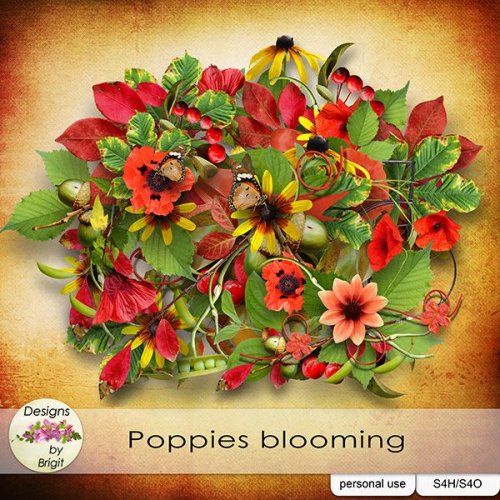 Скрап-набор Poppies blooming
