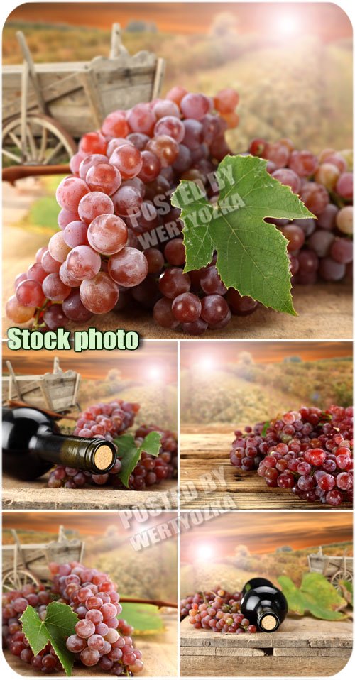 Виноград и бутылка вина на фоне рассвета / Grapes - stock photos