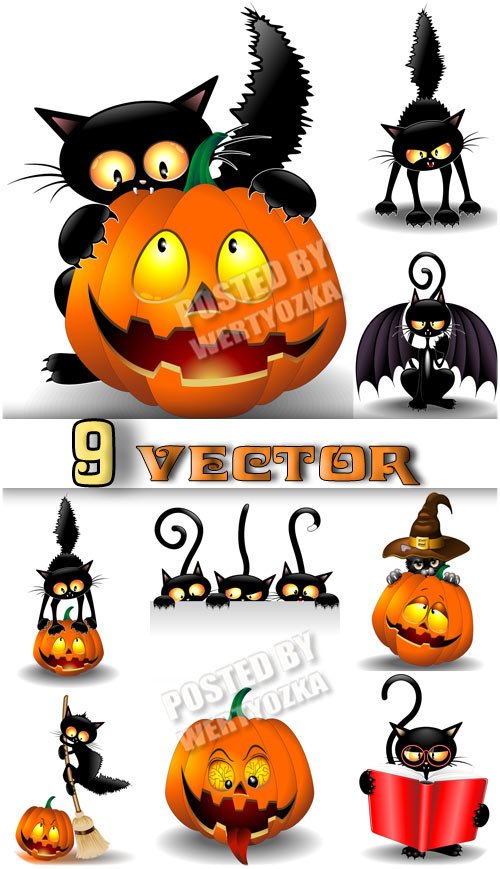 Черная кошка и тыква на хэллоуин / Black cat and pumpkin on Halloween - stock vector