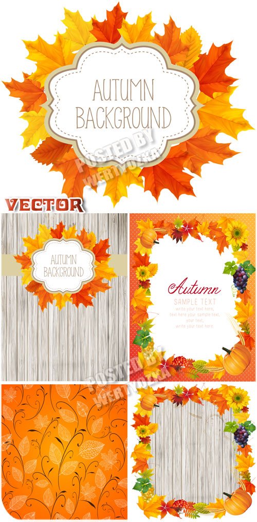Осенние фоны с яркими листьями / Autumn background with colorful leaves - vector stock