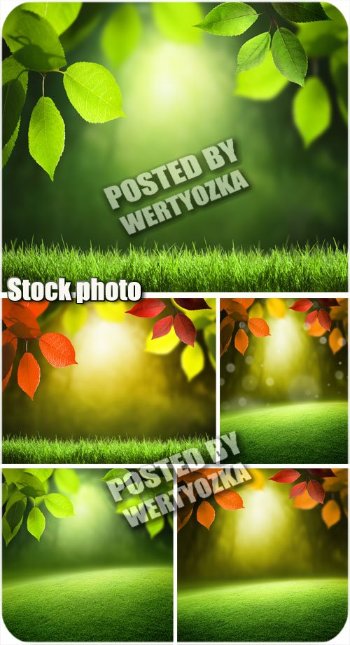 Фоны с листьями и травой / Backgrounds with leaves and grass - stock photos