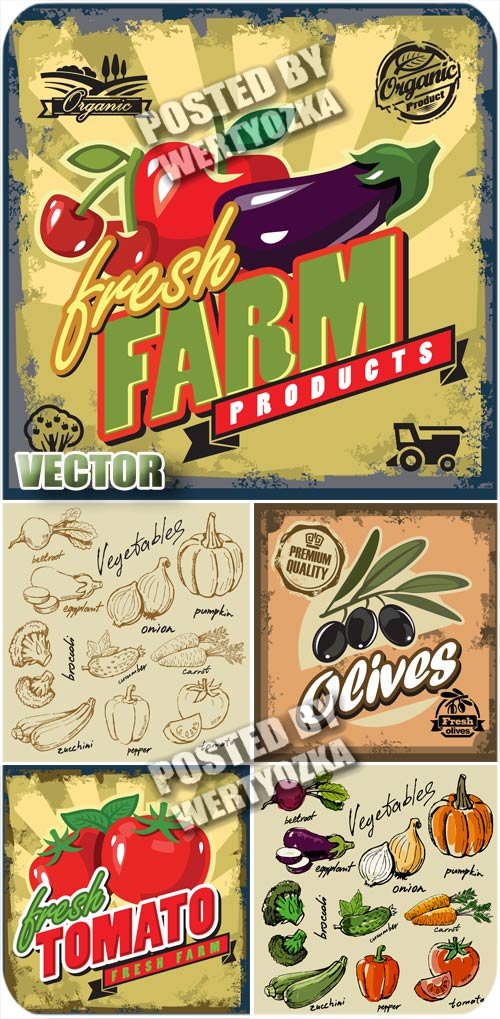 Этикетки с овощами, винтаж / Label with vegetables, vintage - stock vector