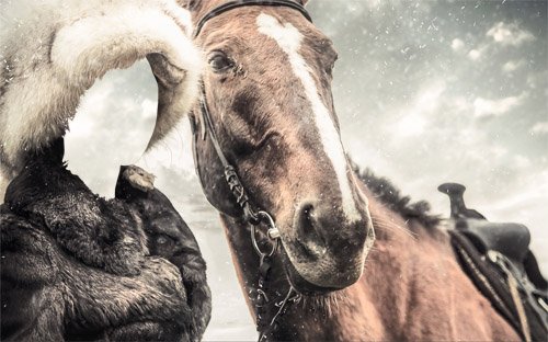 Шаблон для фотошопа - Зимняя прогулка с лошадкой 