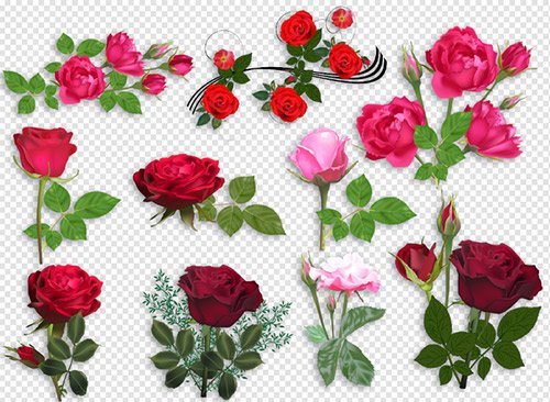 Клипарт - Красные розы для фотошоп на прозрачном фоне