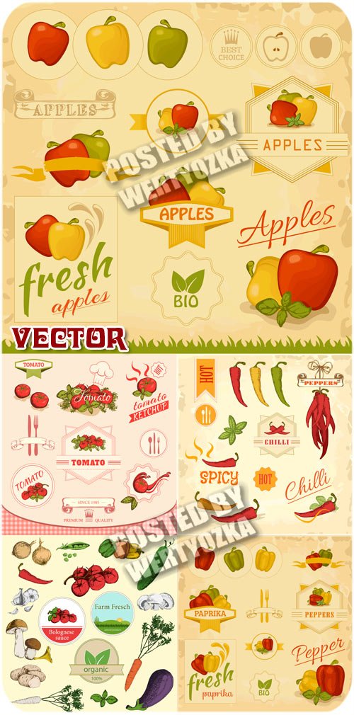 Винтажные этикетки с различными овощами / Vintage labels - stock vector