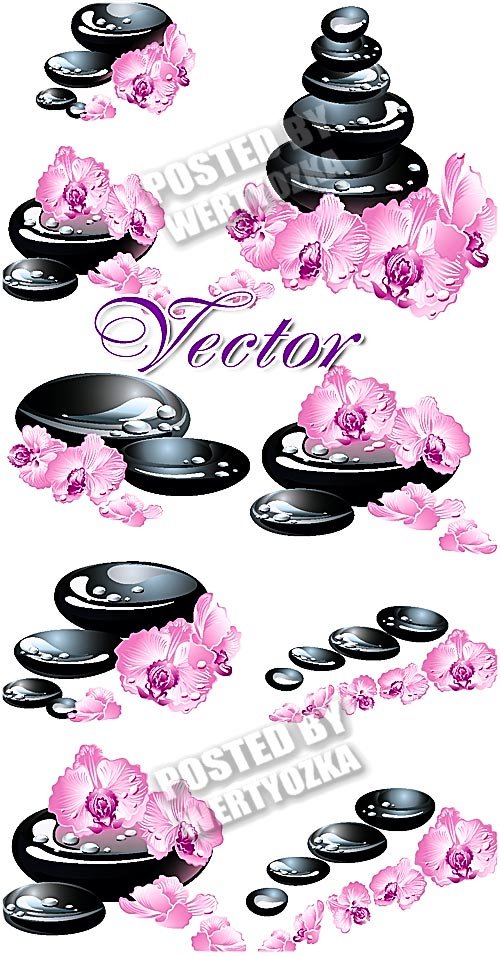 Спа камни и орхидеи / Spa stones and orchid - stock vector