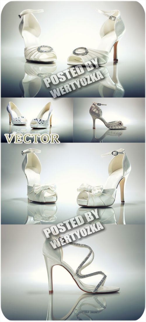 Модная обувь / Fashionable shoes - stock photos