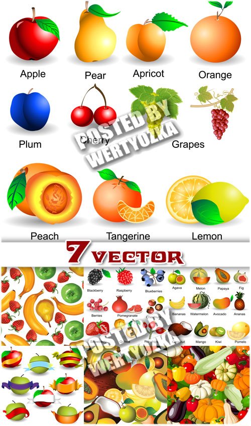 Фрукты и овощи, фоны / Fruits and vegetables backgrounds - stock vector