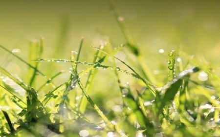 Best HD Wallpapers Pack №1077 Best HD Wallpapers Pack №1077