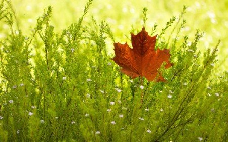 Best HD Wallpapers Pack №1079