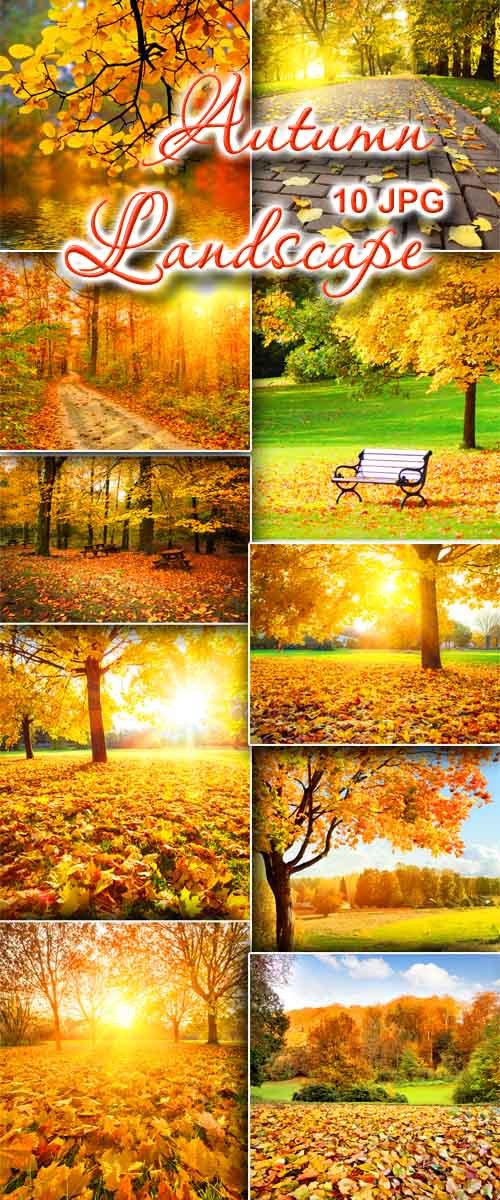 Осенний пейзаж / Autumn Landscape