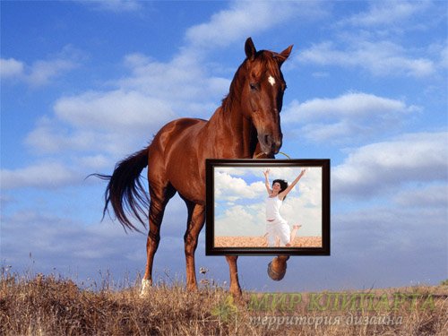 Фоторамка psd - Лошадь держит картину с вашей фотографией