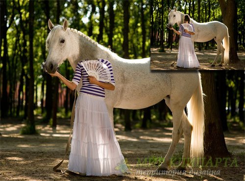 Женский шаблон - Фотосессия с белой лошадкой в парке