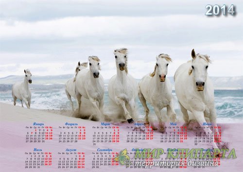  Красивый календарь - Белые лошади на берегу моря 