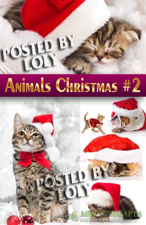 Животные на Рождество 2014 #2 - Растровый клипарт